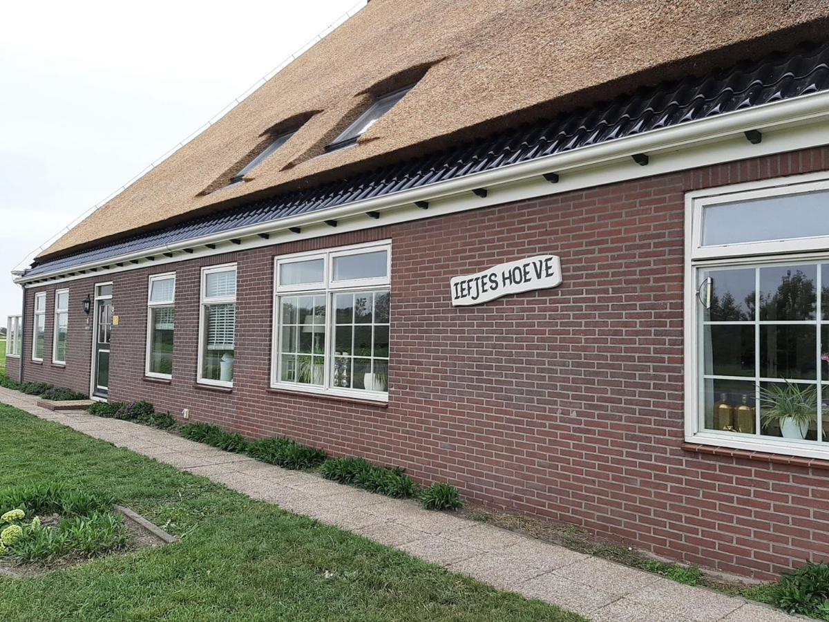 Iefjeshoeve Petten Exterior photo