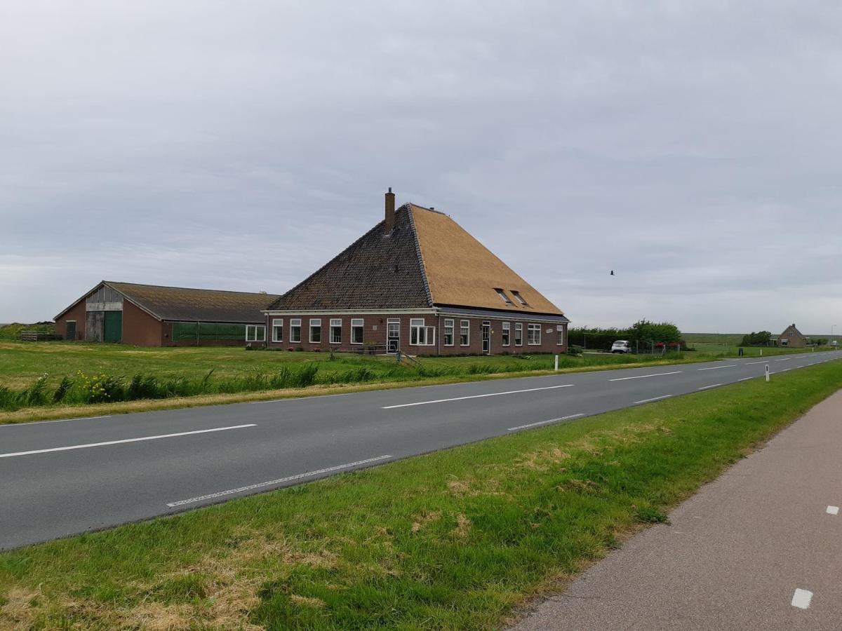 Iefjeshoeve Petten Exterior photo